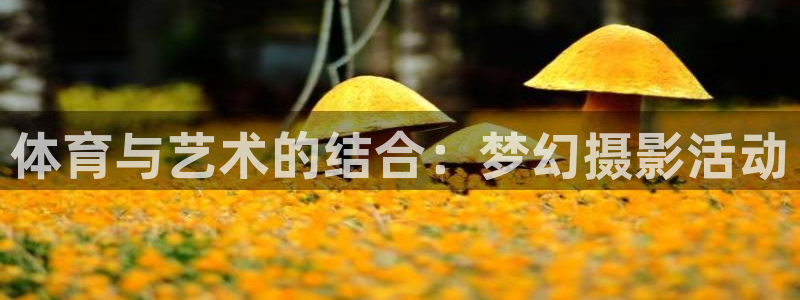 伟德国际4开户：体育与艺术的结合：梦幻摄影活动