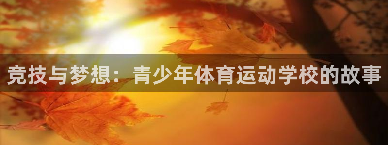 杭州意昂科技有限公司：竞技与梦想：青少年体育运动学校的故事