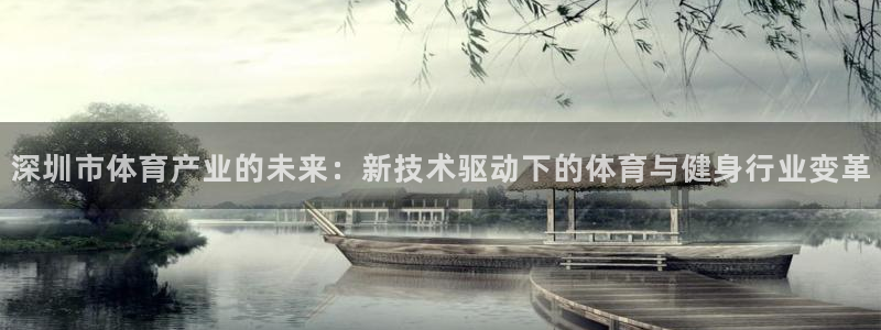 伟德国际4官网：深圳市体育产业的未来：新技术驱动下的体育与健身行业变革