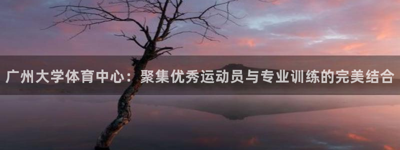伟德国际体育1招商：广州大学体育中心：聚集优秀运动员与专业训练的完美结合