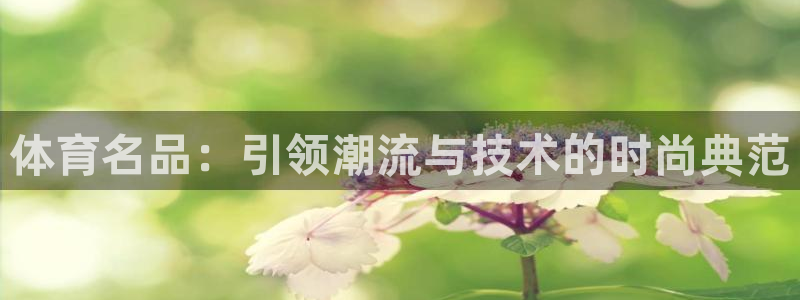 伟德国际3官网登录：体育名品：引领潮流与技术的时尚典范