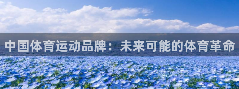 意昂体育：中国体育运动品牌：未来可能的体育革命