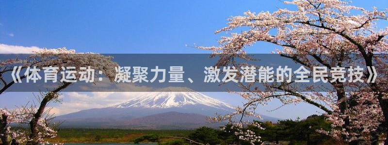 成都伟德国际电子有限公司：《体育运动：凝聚力量、激发潜能的全民竞技》