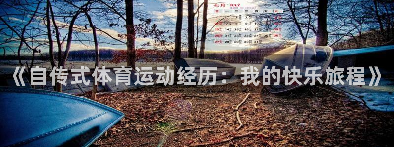 伟德国际登录注册：《自传式体育运动经历：我的快乐旅程》