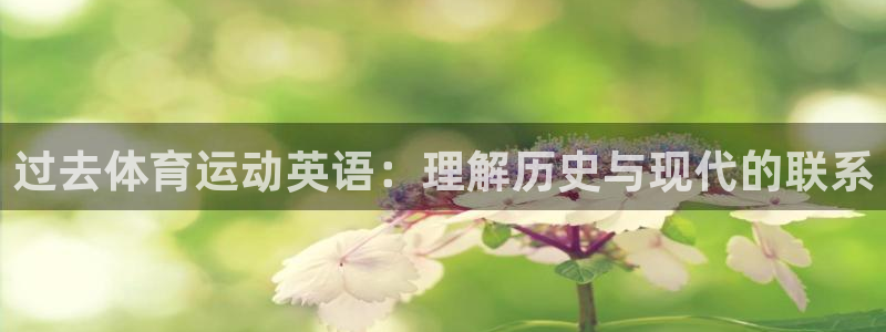 意昂是什么品牌：过去体育运动英语：理解历史与现代的联系