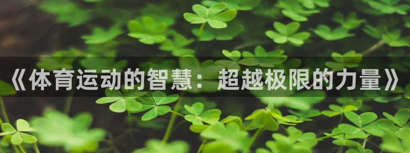伟德国际主管：《体育运动的智慧：超越极限的力量》