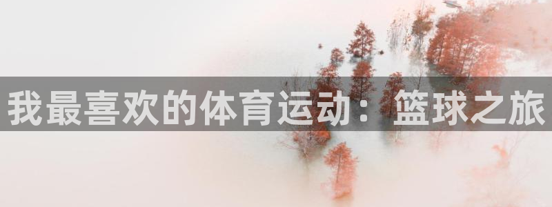 伟德国际体育和杏耀是哪个公司的：我最喜欢的体育运动：篮球之旅