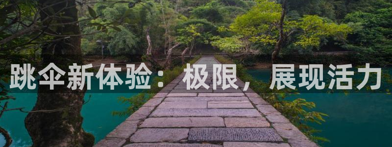 伟德国际体育凯捷平台注册：跳伞新体验：极限，展现活力