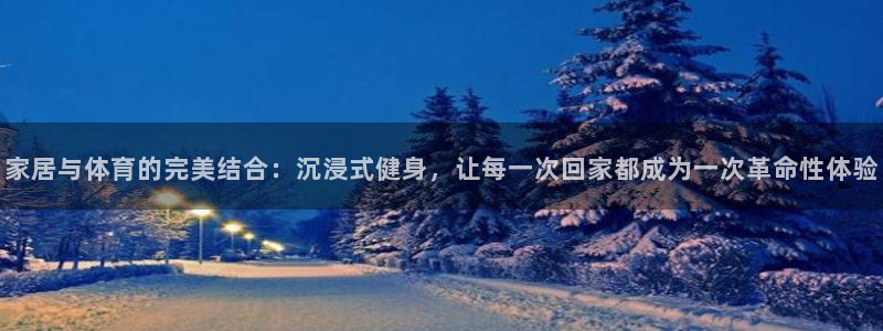意昂4平台：家居与体育的完美结合：沉浸式健身，让每一次回家都成为一次革命性体验