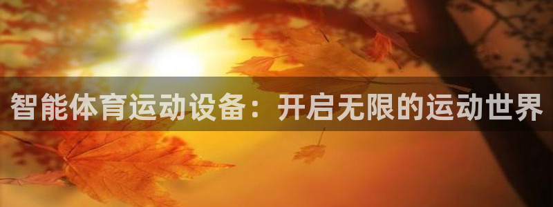 伟德国际体育合法嘛：智能体育运动设备：开启无限的运动世界