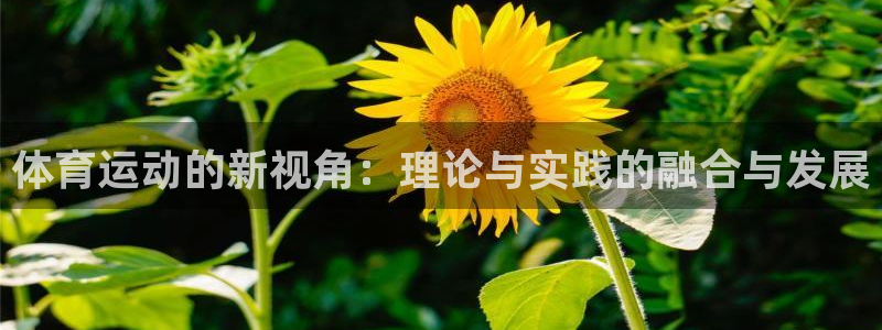 伟德国际体育凯捷登陆：体育运动的新视角：理论与实践的融合与发展